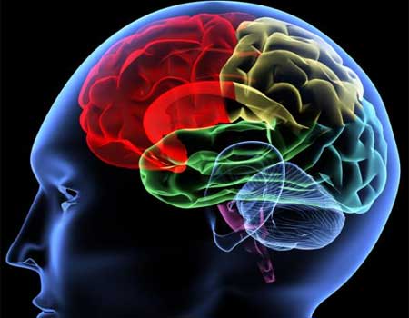 Lee más sobre el artículo El efecto de las drogas en el cerebro